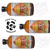3 X Ginger Zing Kombucha