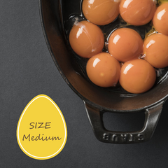 Taiyouran Eggs from Japan (10 egg crate)