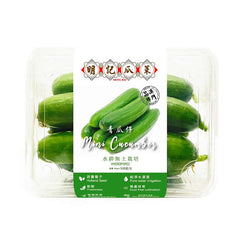 Mini Cucumbers - Hydroponic