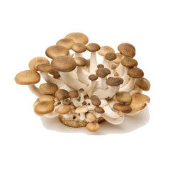 Cogumelo Shimiji Marrom Fresco 450g
