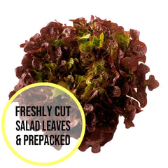 Folhas de Alface Red Oakleaf 300g
