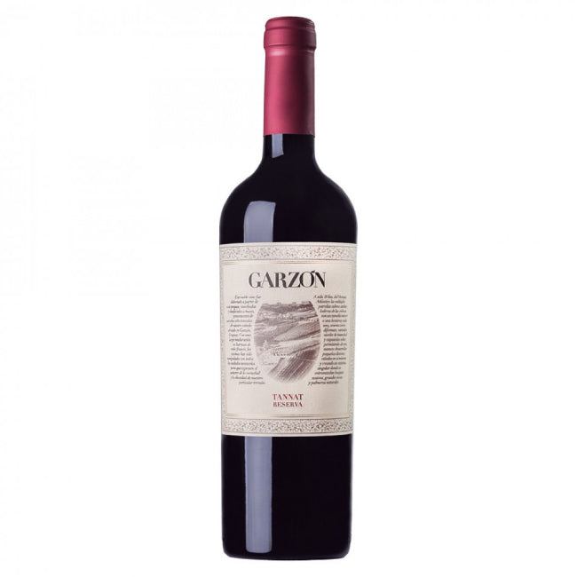 Bodega Garzon Reserva Tannat 2019