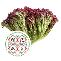 Lollo Rosso Salad 600g
