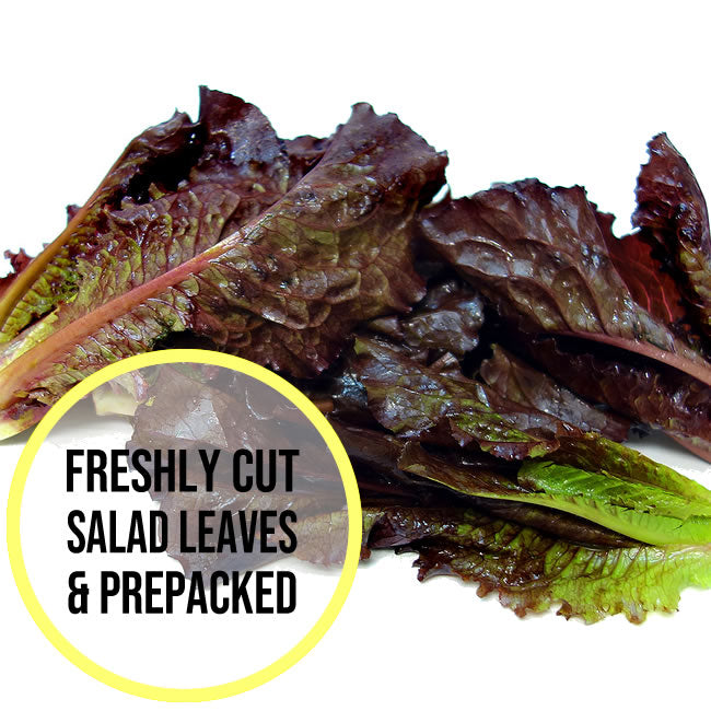 Red Romaine Lettuce Leaves 300g